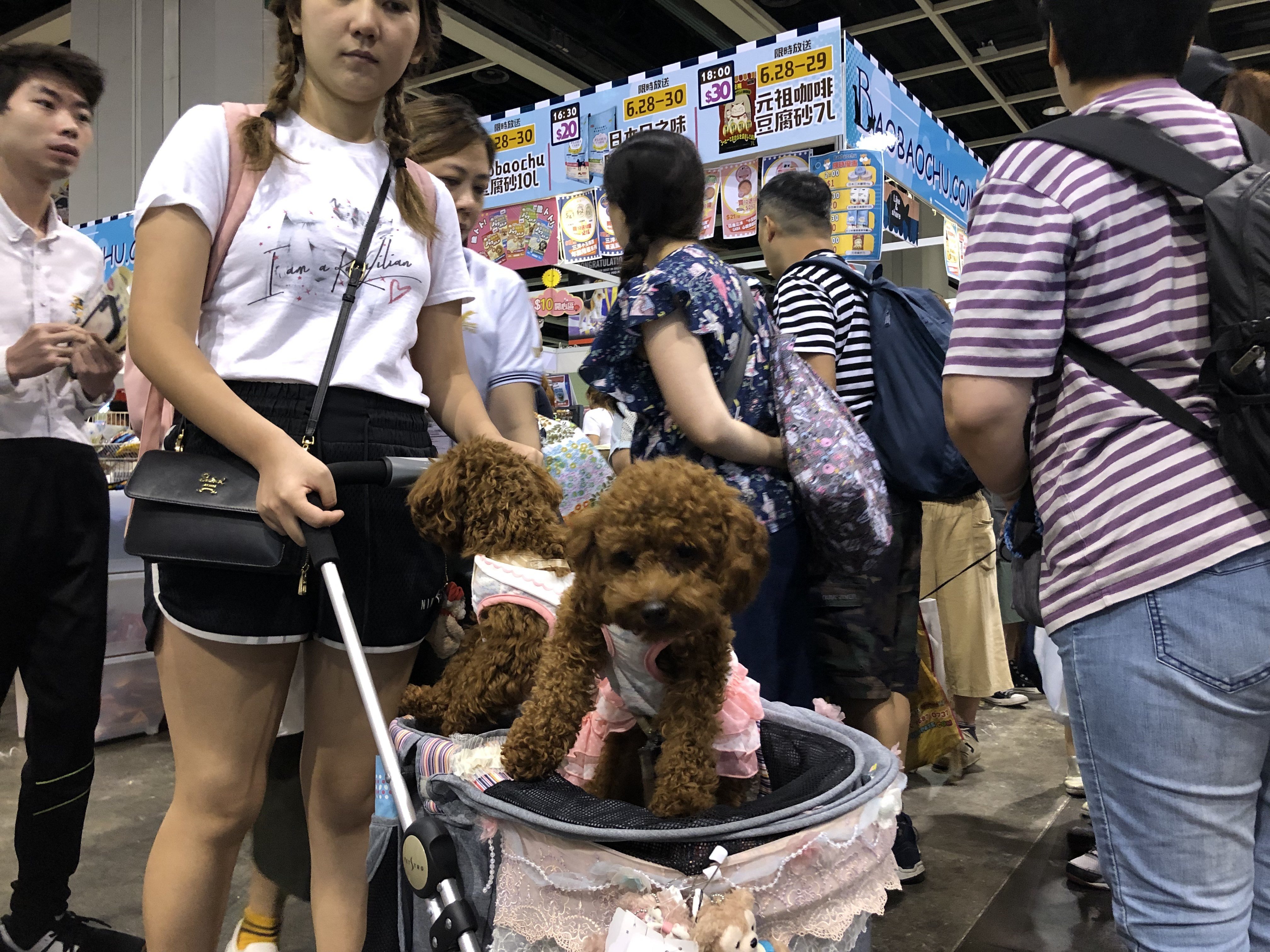 The Premium Pet Supplies Expo will close a day early after the government ordered the Hong Kong Convention and Exhibition Centre to be closed on Sunday. Photo: Danny Lee