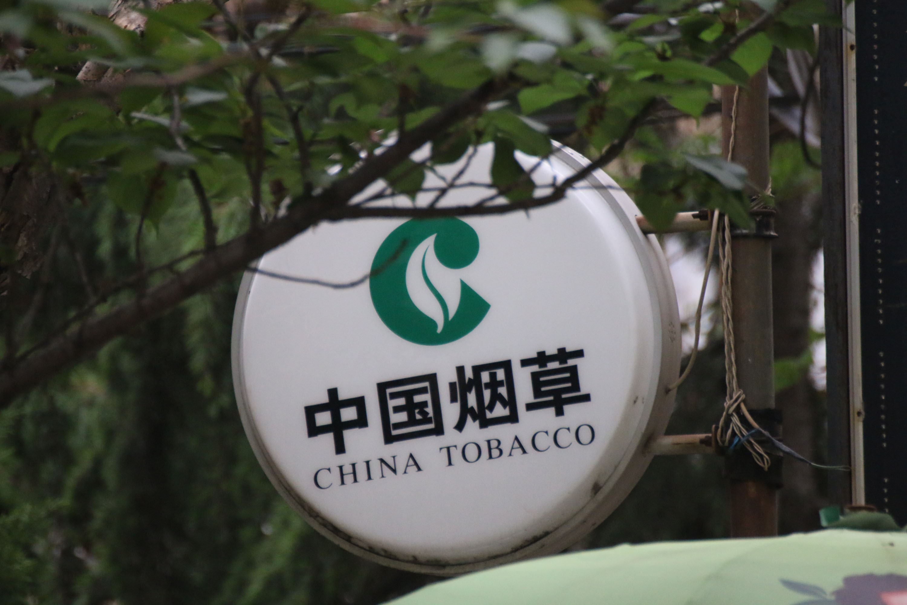 China Tobacco, buoyed by monopoly in world's biggest population of smokers,  sees stock rise 307 per cent in Hong Kong
