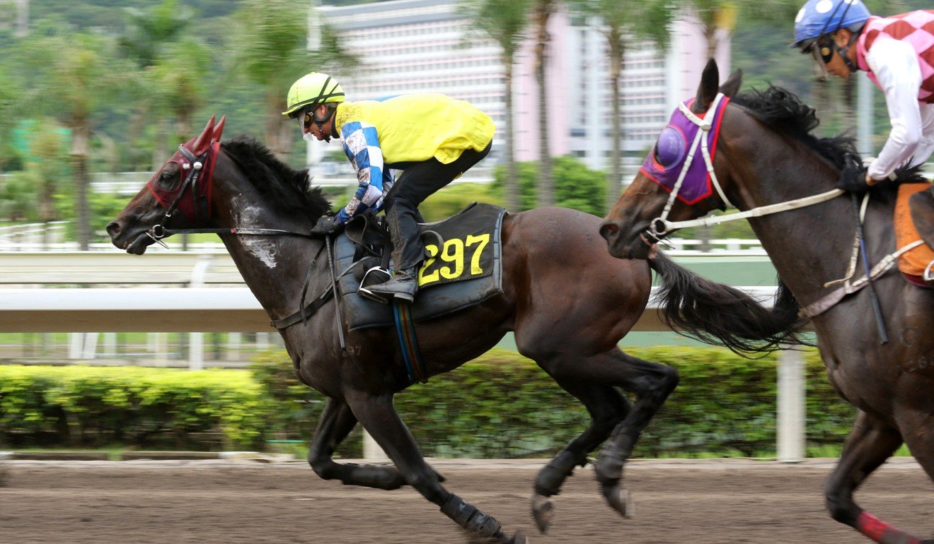 Zac Purton trials Chefano on the all-weather surface at Sha Tin in his first hit-out for John Moore.