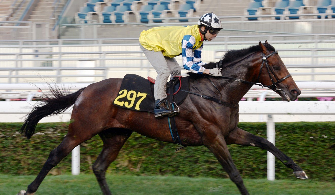 Chefano stretches out during a barrier trial at Sha Tin.