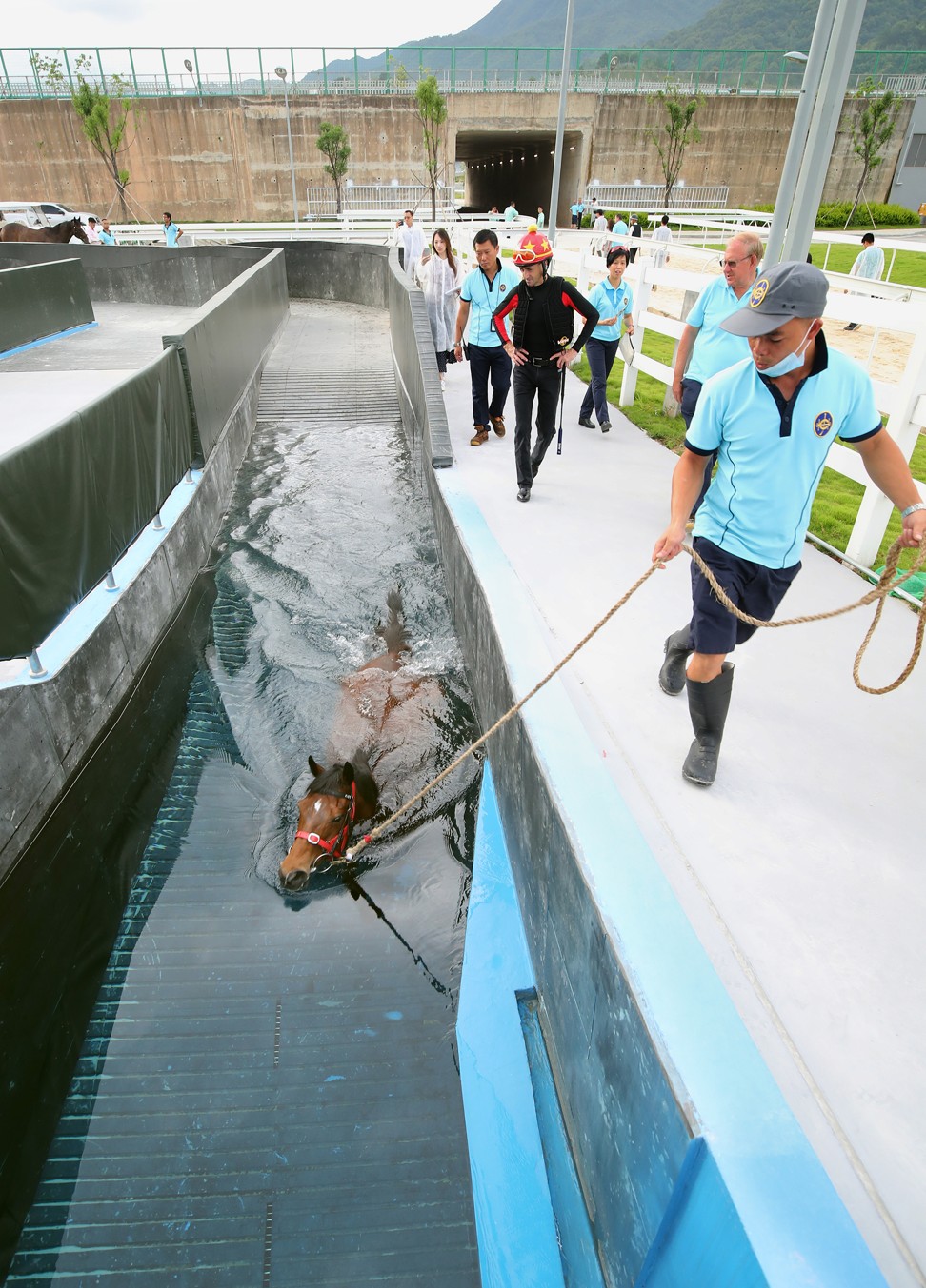 Staff taking horses through the pool at the Conghua training facility. Photo: HKJC