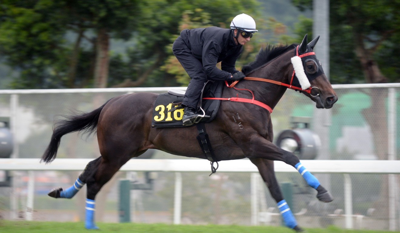 Zac Purton gallops Beauty Spark at Sha Tin.