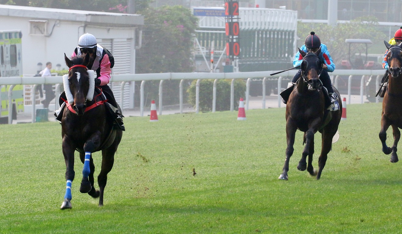 Beauty Spark easily goes past his rivals in a barrier trial at Happy Valley in April.