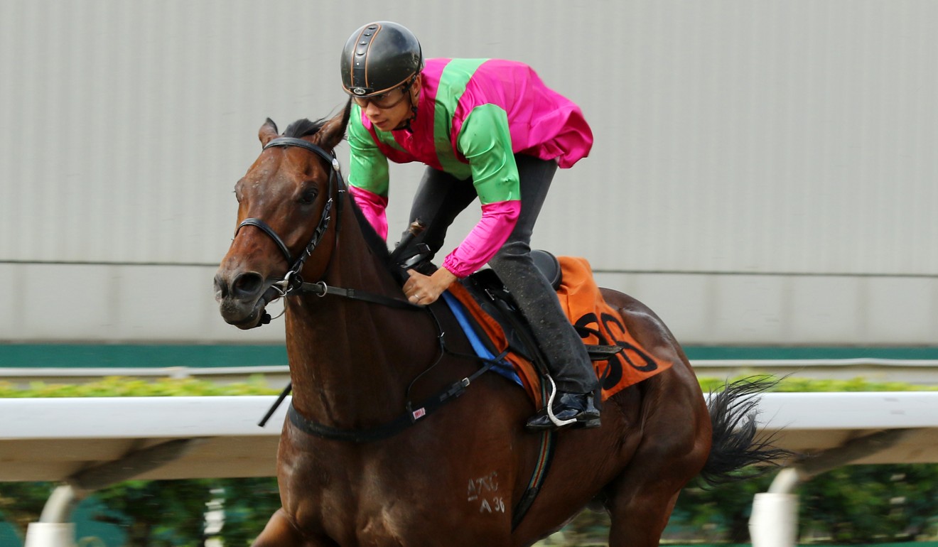 Derek Leung trials Elusive State at Sha Tin on Friday.