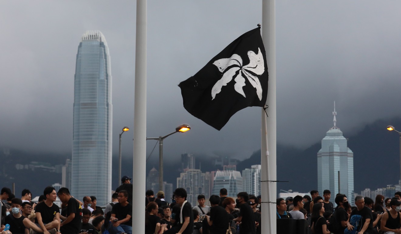 Protesters wave a black version of Hong Kong’s bauhinia flag at the march. Photo: Felix Wong