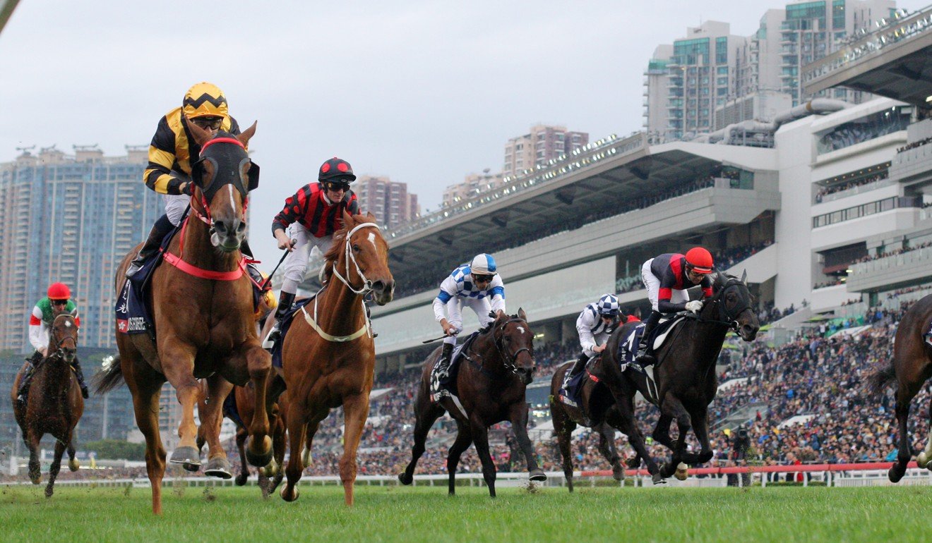 The Defining Moments Of Hong Kong Racing In 2018-19: A Record-breaking ...