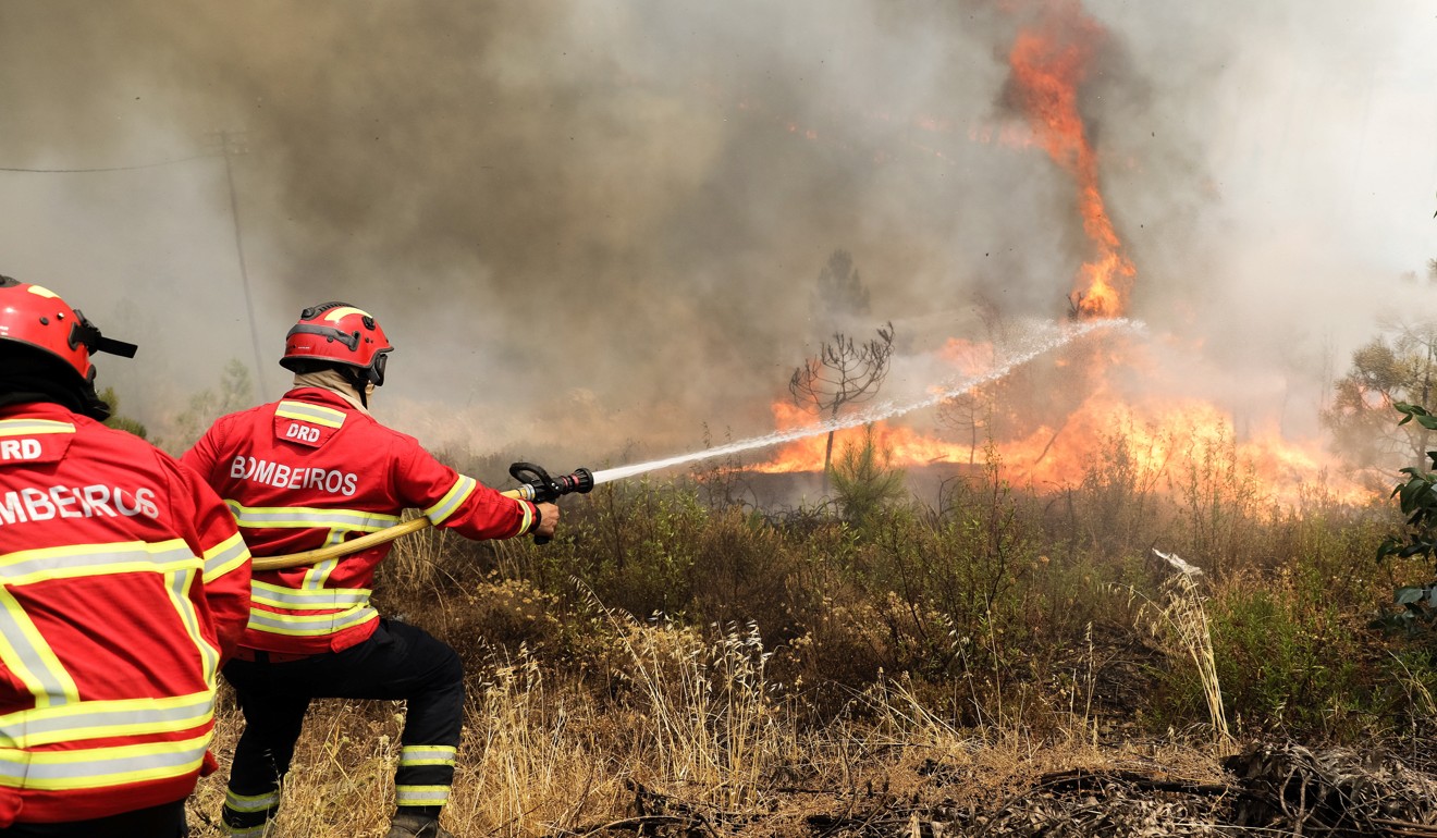 После сильного пожара. Лесные пожары в Португалии. Португалия Лесные пожары 2017. Пожар в Португалии 2017. Пожарная охрана Португалии.