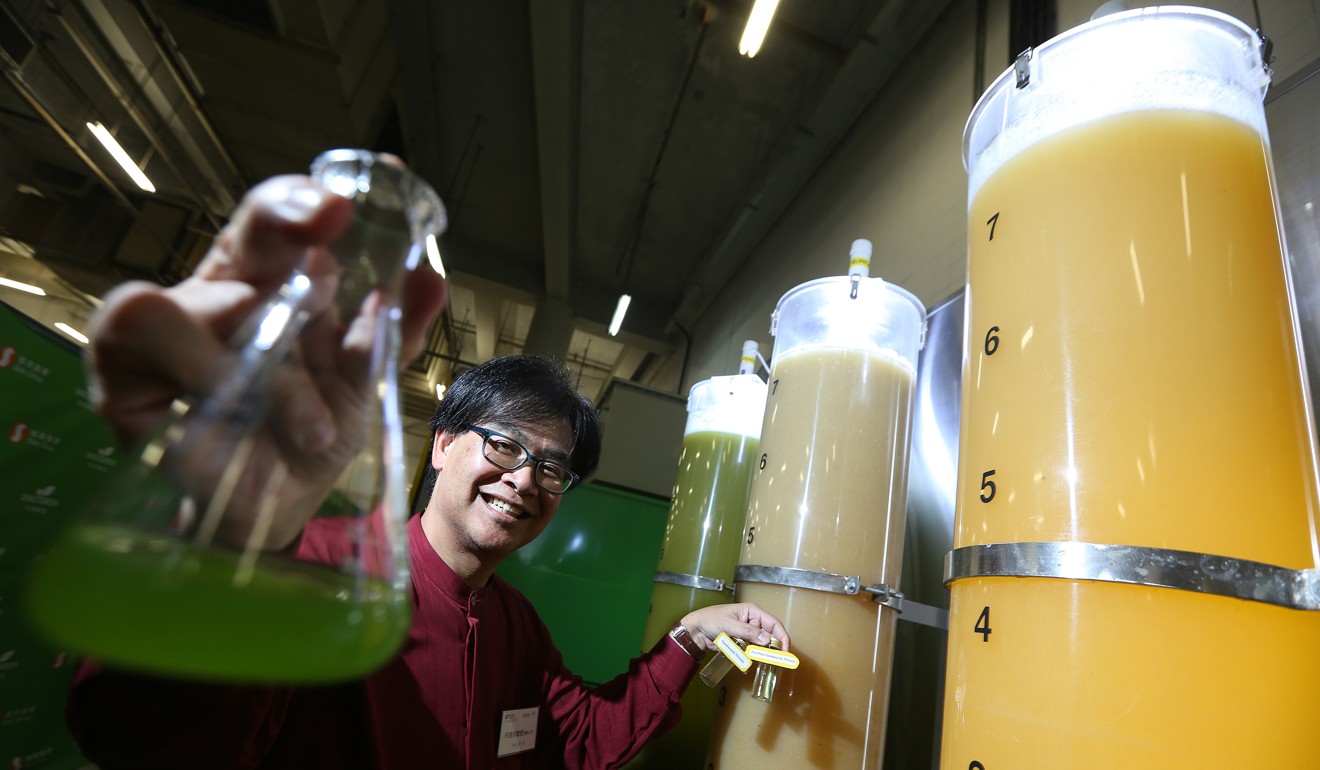 Professor Ho Kin-chung, dean of the school of science and technology at Open University of Hong Kong, talks about his project, in collaboration with Sino Group, on the purification of food waste filtrate using microalgae at Olympic City in Kowloon, in October 2014. Problems such as waste recycling would benefit from more collaboration between universities and businesses. Photo: Felix Wong