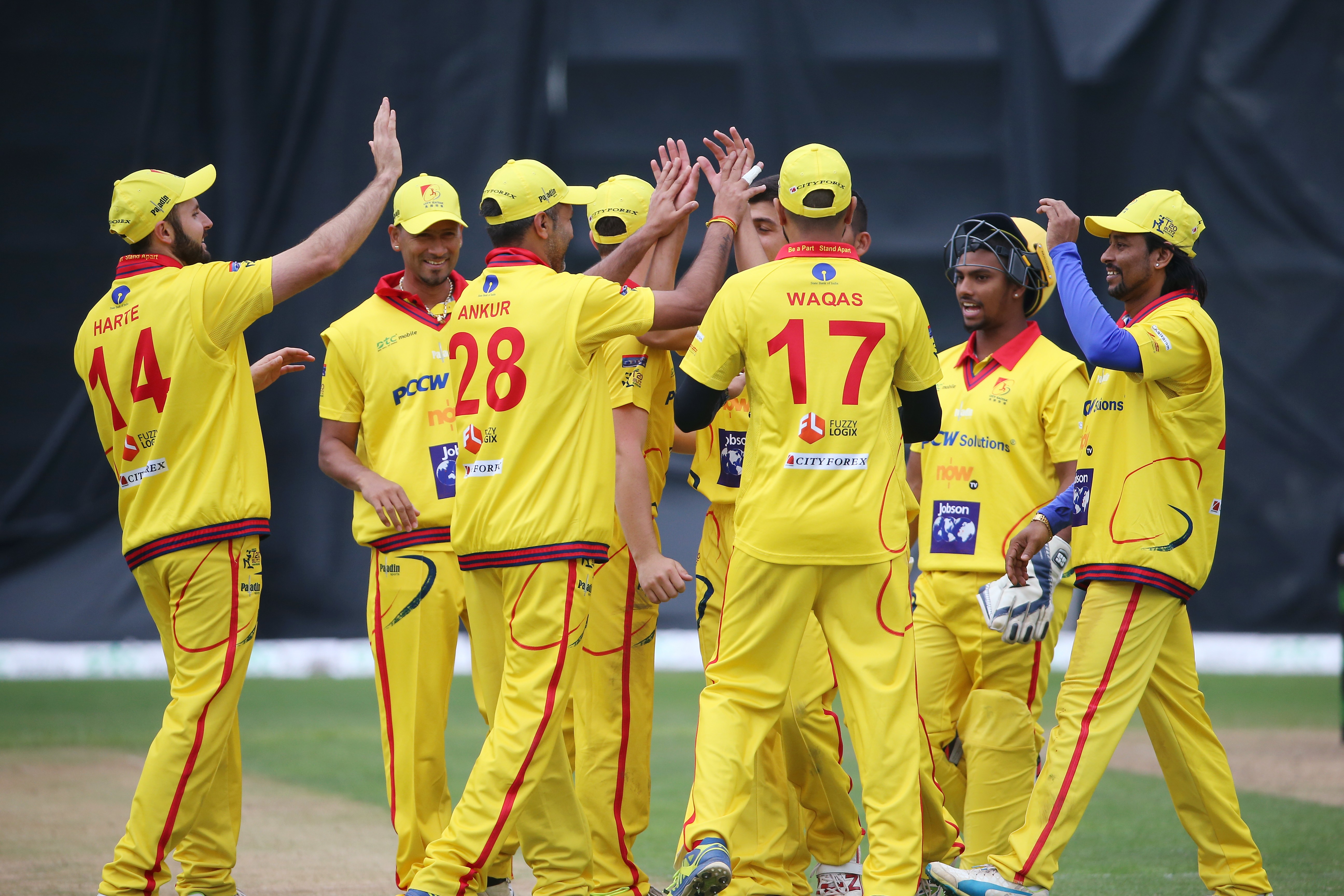 City Kaitak players celebrate a wicket during the 2017 Hong Kong T20 Blitz. Photo: K. Y. Cheng