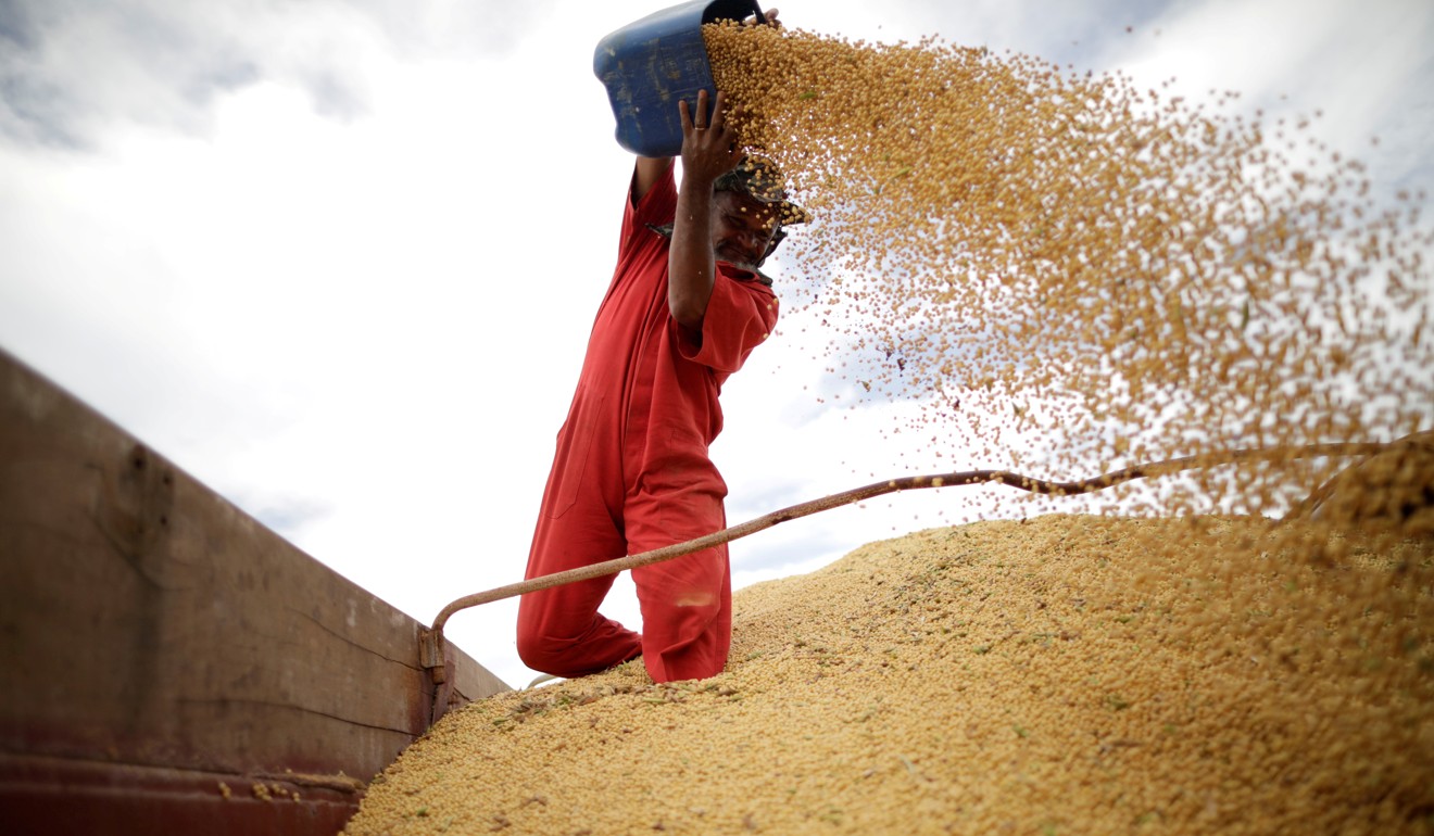 Brazilian soybeans – one of the country’s biggest exports – and other farm products are being sold to China as a result of the trade war. Photo: Reuters