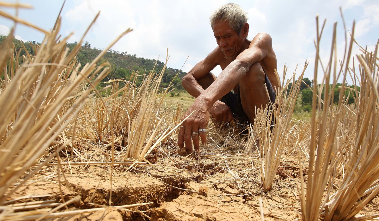 At least 164 farmers and land rights activists were killed worldwide last year, with the Philippinesaccounting for the most casualties. Photo: Xinhua