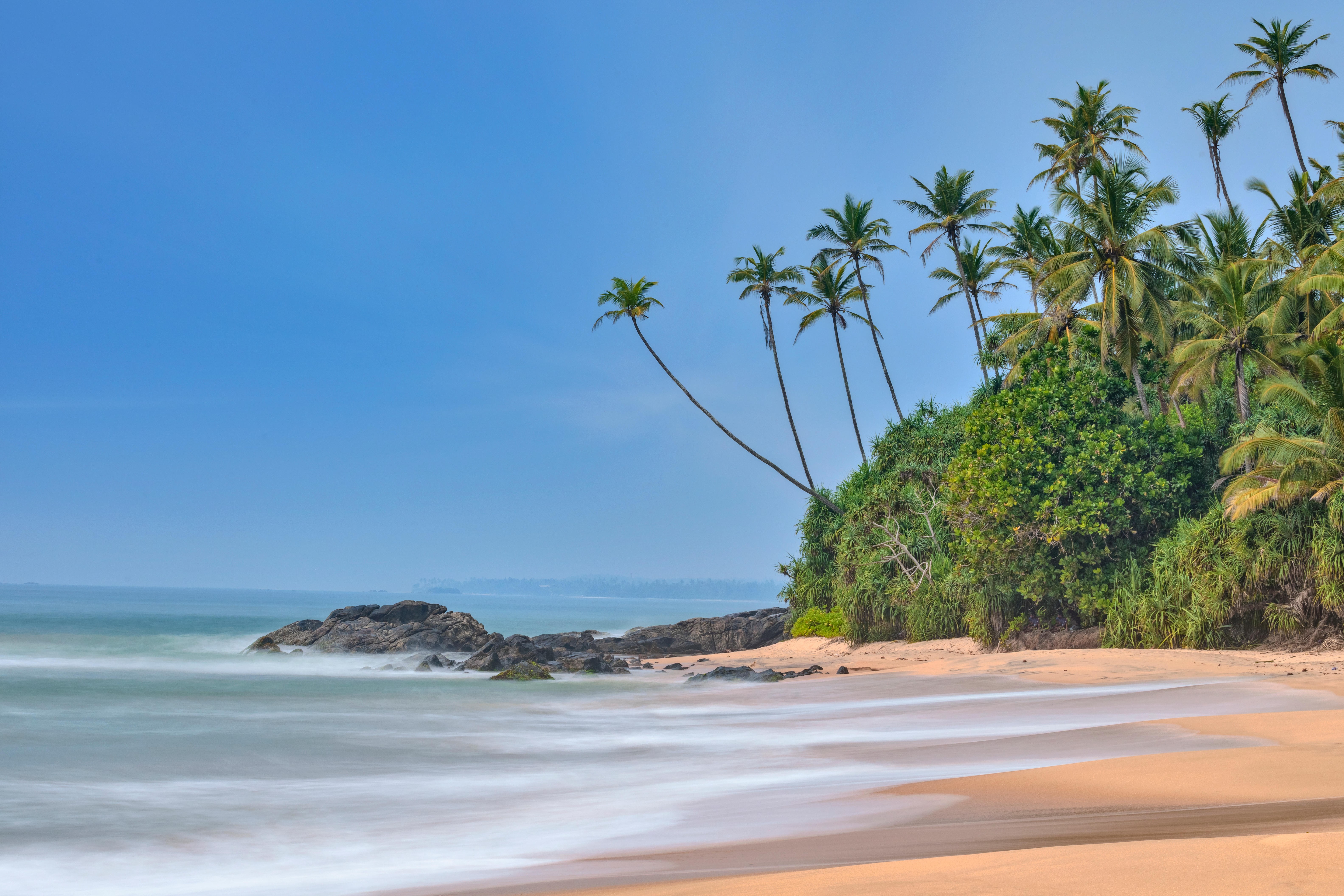 The palm-fringed beach at Dondra, Sri Lanka. Photo: Alamy