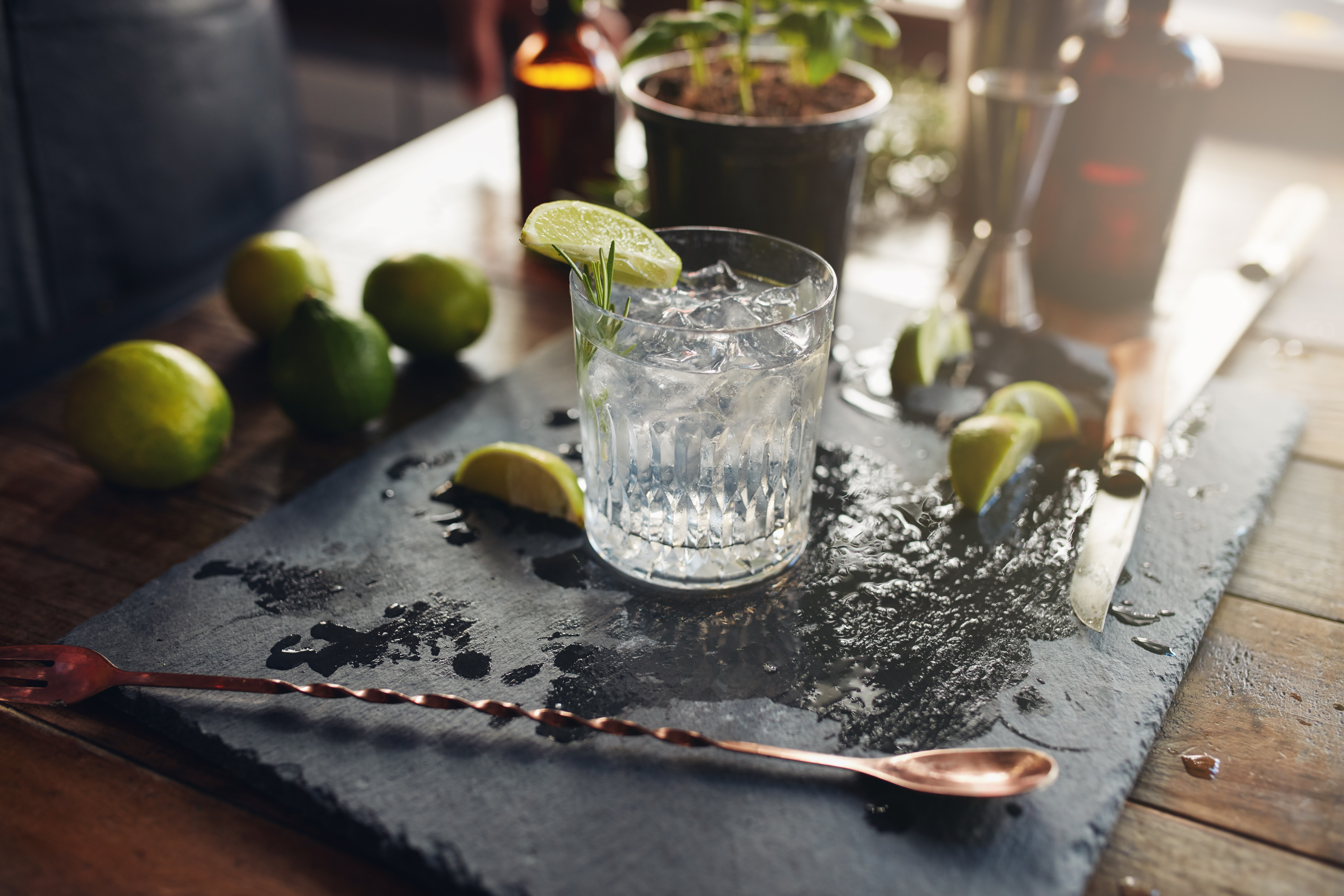 Gin has come a long way to become the ubiquitous spirit we know and love today. Photo: Shutterstock