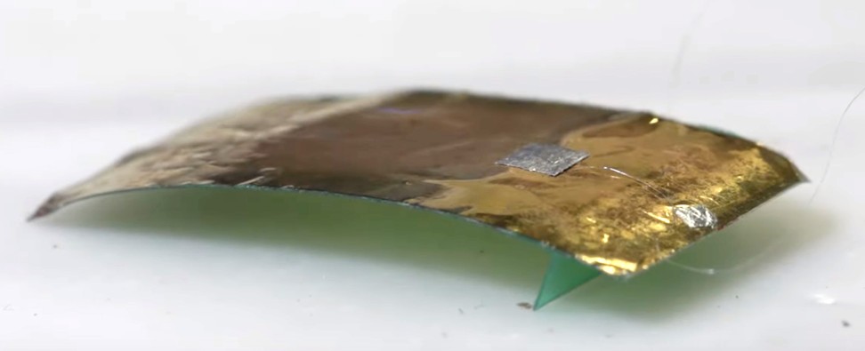 This screenshot from a video provides a closer look at the prototype soft robot developed by a group of researchers from China and the US. Its features were inspired by the sturdy qualities of the humble cockroach. Photo: YouTube