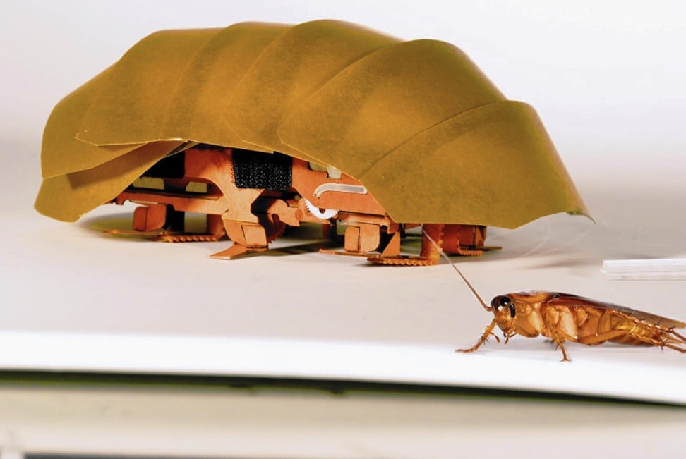 In 2017, researchers of the PolyPEDAL Lab at the University of California, Berkeley, designed a compressible robot, CRAM, that was about 20 times the size of a real cockroach. Photo: Handout