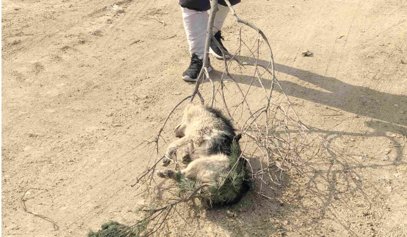 During the trek, the Taoists pray for the souls of dead animals they come across. Photo: Handout