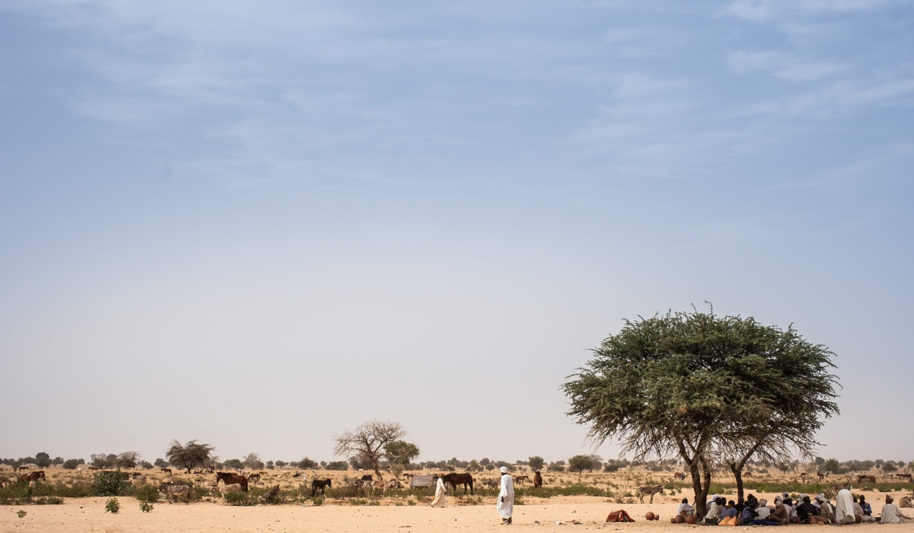 Farmers shelter under a mango tree to avoid the heat and sun, on the road between Adre and Farchana, in the eastern Chad region of Ouaddaï. Photo: AFP