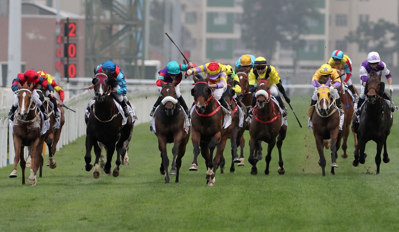 Horses compete in a race at Sha Tin.