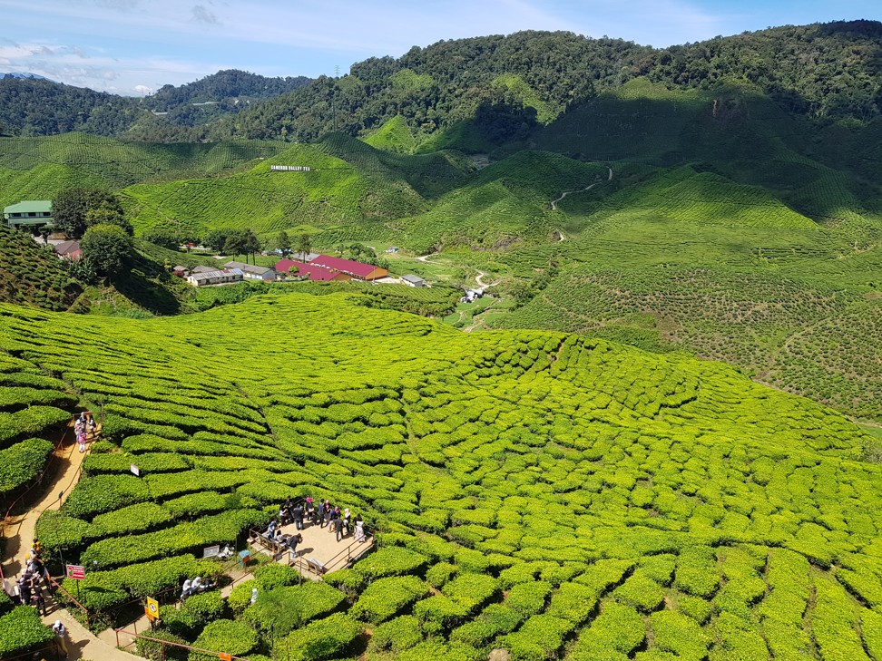 SpiceRoads’ 12-day Road Cycling Thailand to Malaysia tour begins in Krabi and ends in Kuala Lumpur, passing through the Cameron Highlands.