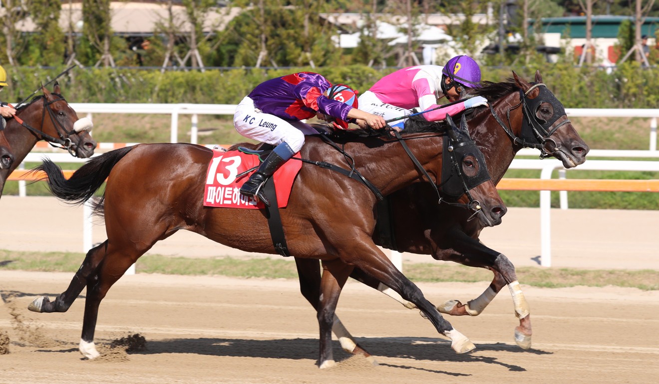 Fight Hero finishes a gallant second behind Moanin in the 2018 Korea Sprint.