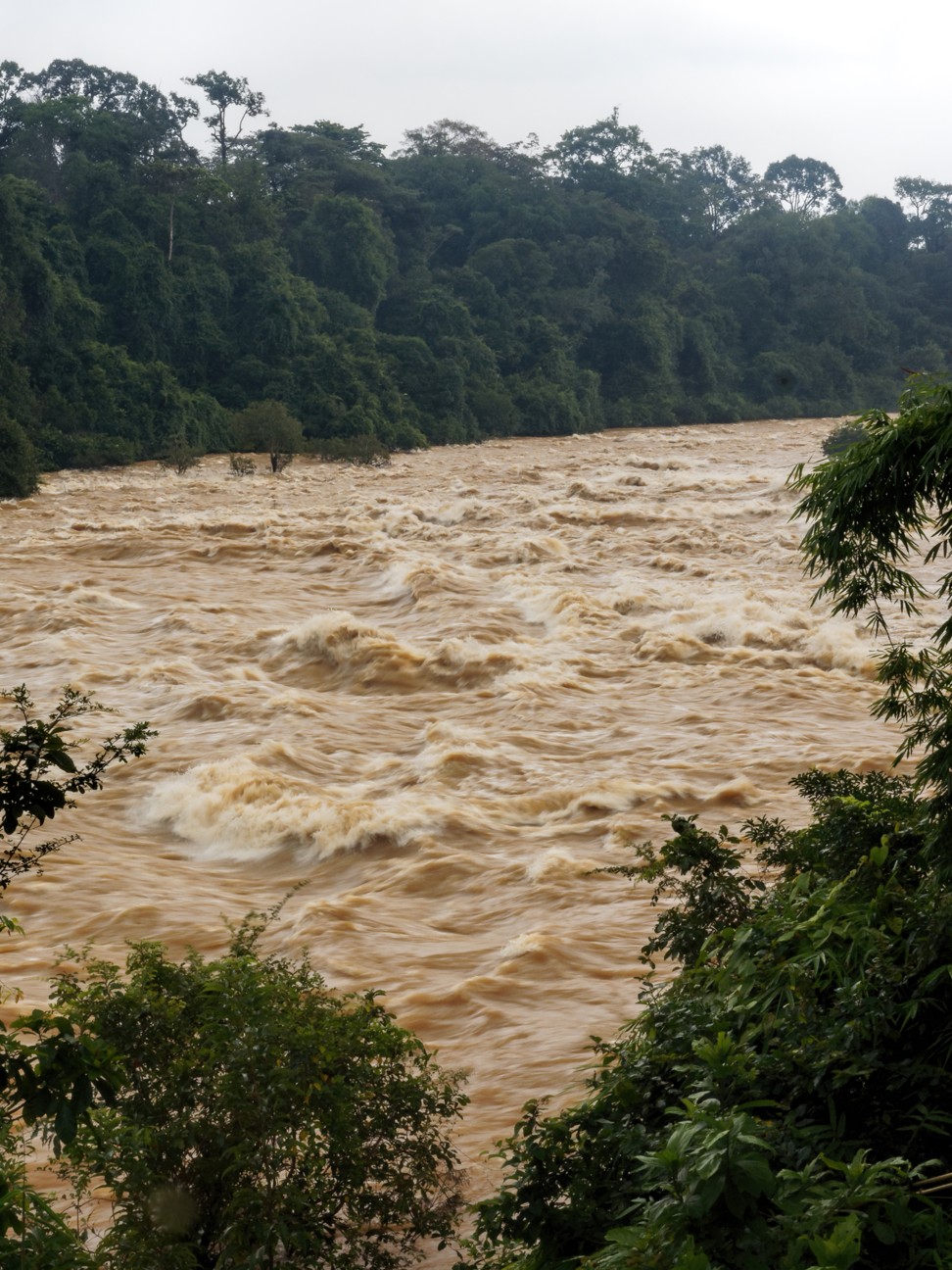 A river during rainy season in Cat Tien National Park. Photo: Martin Williams