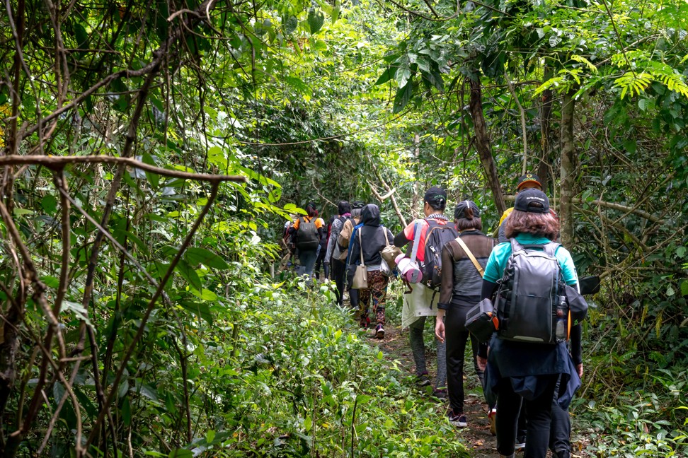 A tour group walking through the forest at Cat Tien. Photo: Alamy
