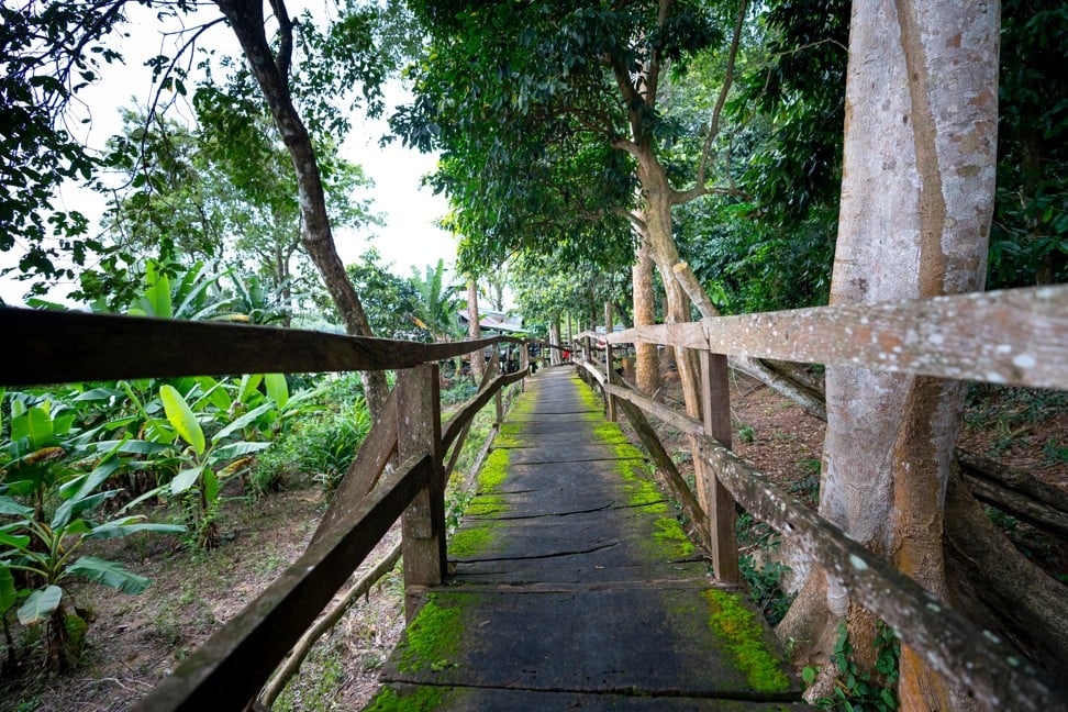Deep in the rainforest at Cat Tien. Photo: Alamy