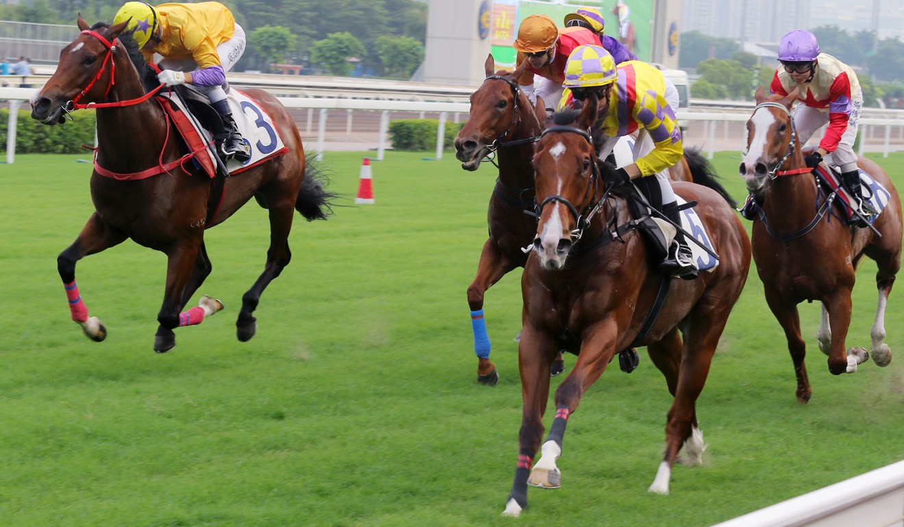 Blake Shinn takes out a trial aboard Winner Supreme at Sha Tin.