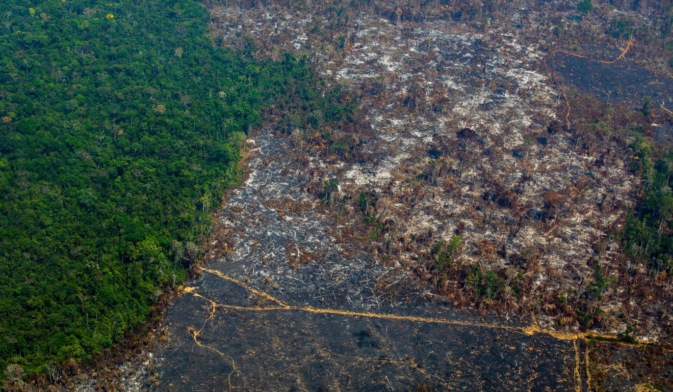 The aftermath of fires in Para state, Brazil. Photo; AFP