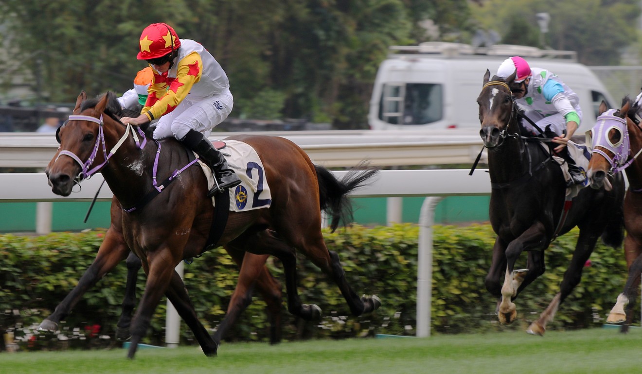 Mr Croissant salutes at Sha Tin in March.