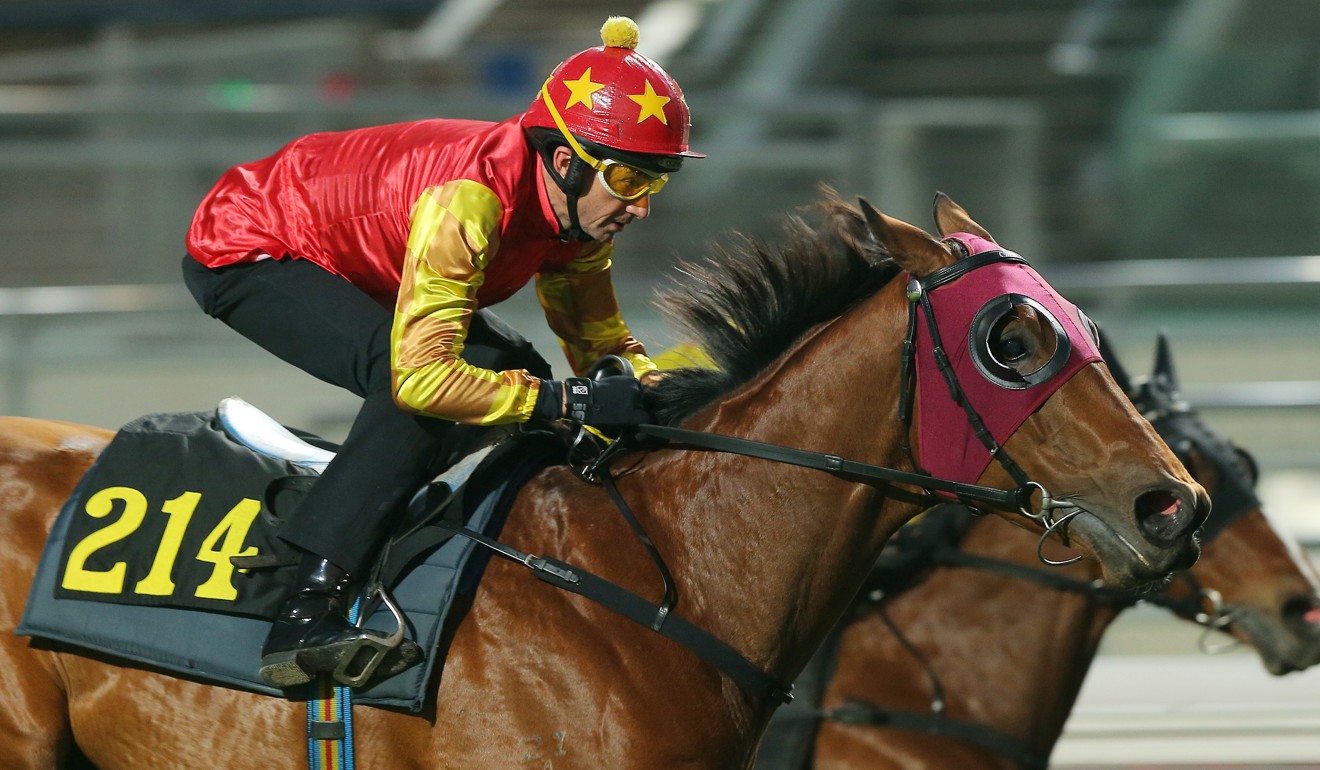 Grant van Niekerk rides John Moore-trained debutant Huangshan on Sunday.