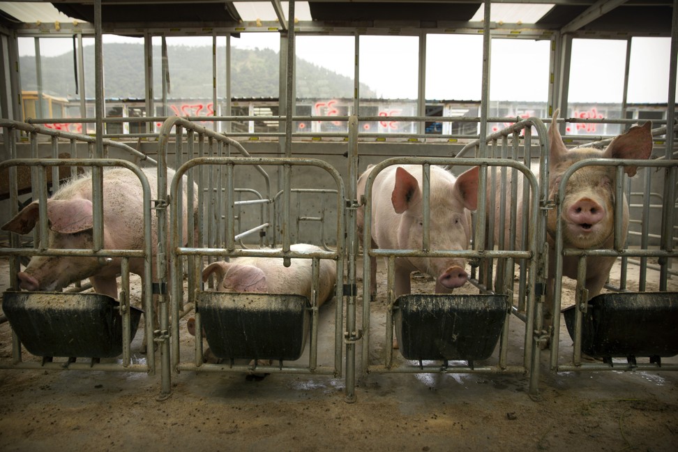 If China was to import all the tradeable pork in the world and use up all its frozen reserves, there would still be a supply deficit of around 6 million tonnes. Photo: AP