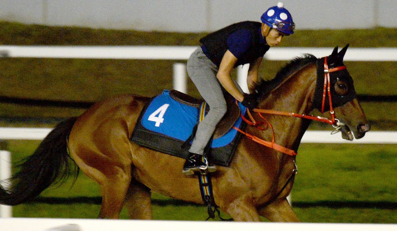 Vincent Ho rides Glorious Artist at trackwork in Seoul on Saturday morning.