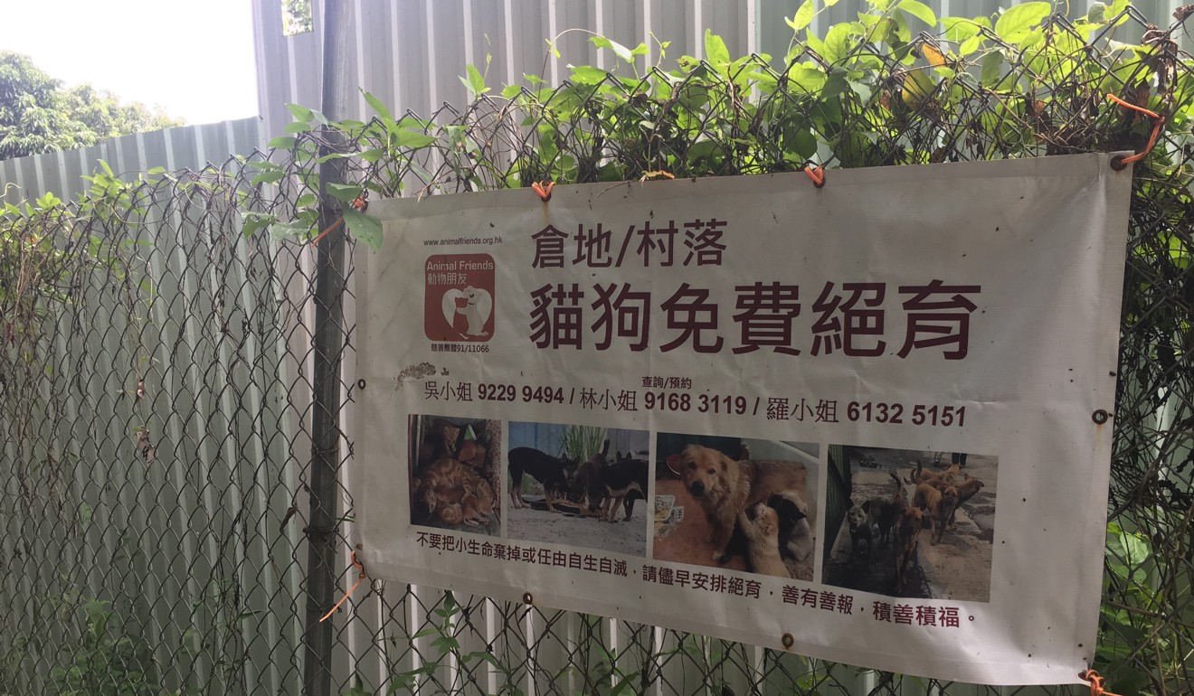 A poster advertising animal sterilisation in the northeast New Territories. Photo: Fiona Sun