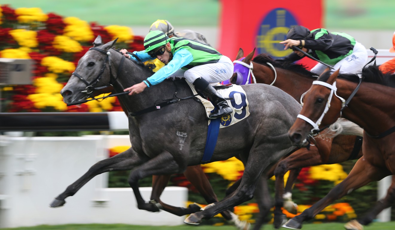 Silver Fig is out to return to the winner’s list at Sha Tin on Sunday.