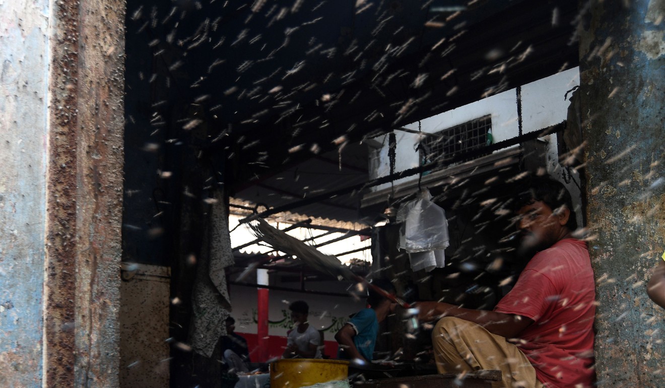 A trade looks on as flies swarm around him at a market in Karachi. Photo: AFP