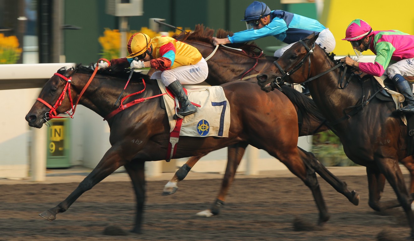 Big Time Baby wins Sunday’s Class Two Po Yan Handicap.