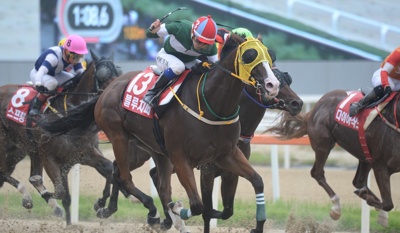 Blue Chipper races away to win the G1 Korea Spring in Seoul on Sunday.