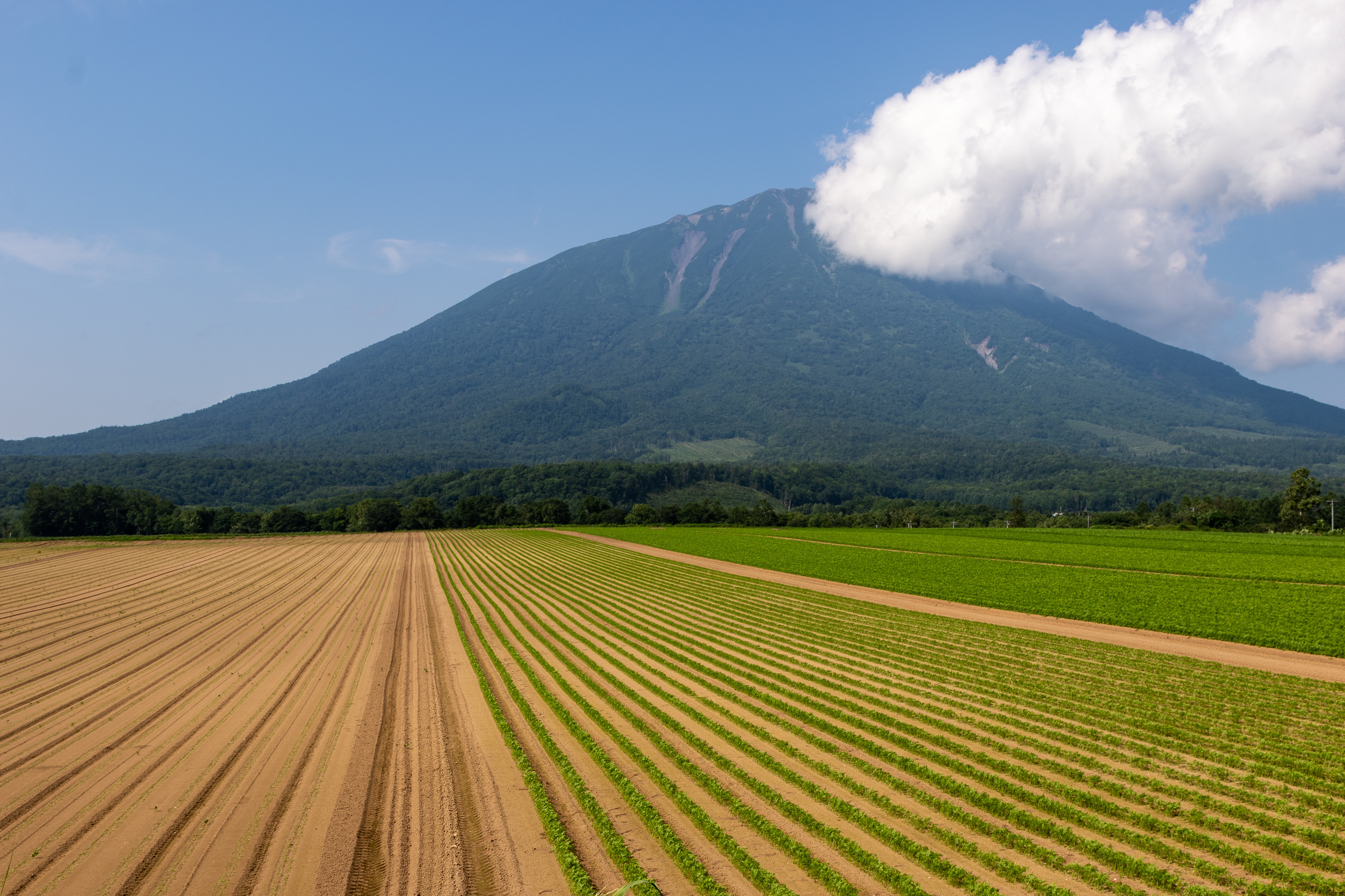 Mount Yotei is a popular destination for travellers both in winter and summer. Photo: Niseko Photography and Guiding