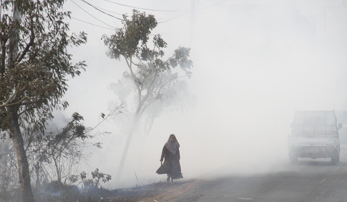 A woman walks along a road blanketed in smog in Banjarbaru, South Kalimantan province, Indonesia. Photo: Reuters