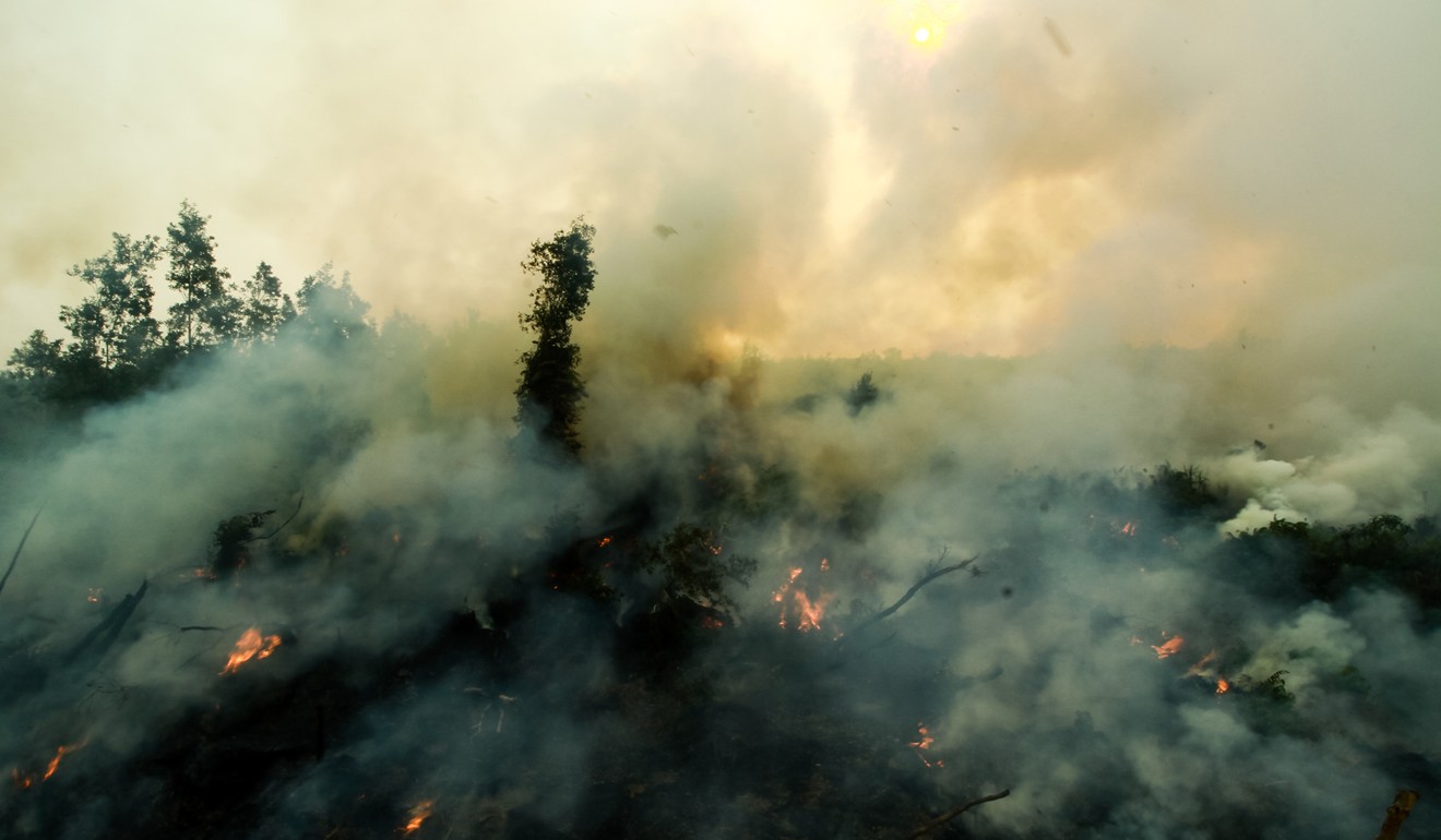 Smokes and flames rise after a forest fire in Indonesia, which covered Sumatra Island, Singapore and Malaysia with haze. Photo:Sijori Images
