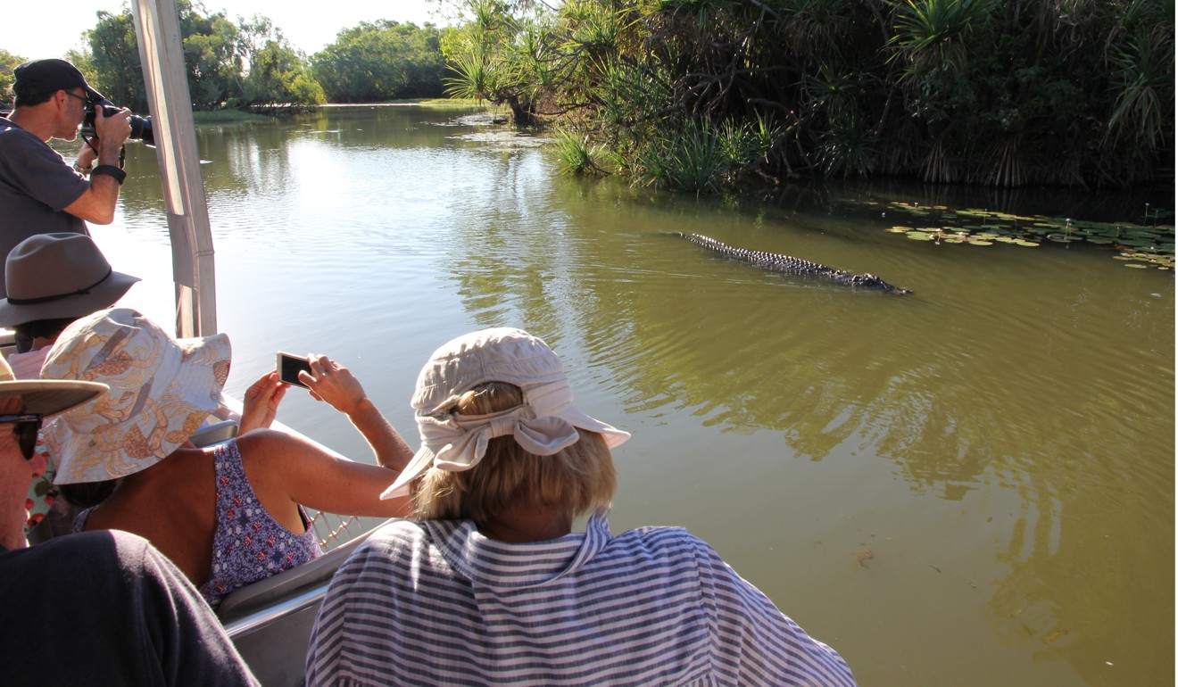 A large croc slides past the boat. Photo: Alkira Reinfrank