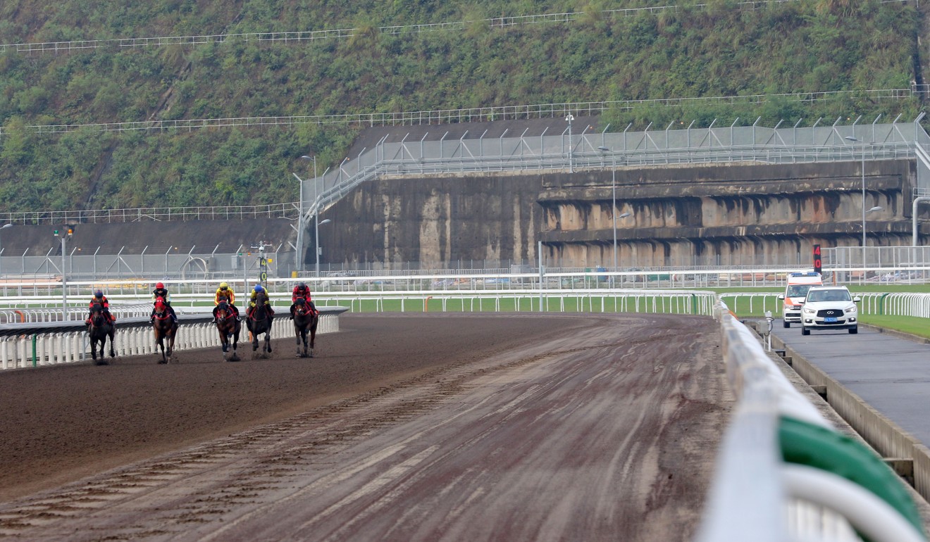 Horses trial on the all-weather surface at the Conghua training facility. Photo: Kenneth Chan