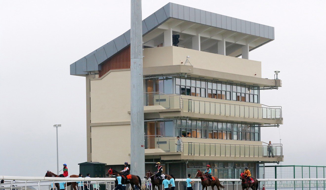 Horses go onto the track at the Conghua training centre. Photo: Kenneth Chan