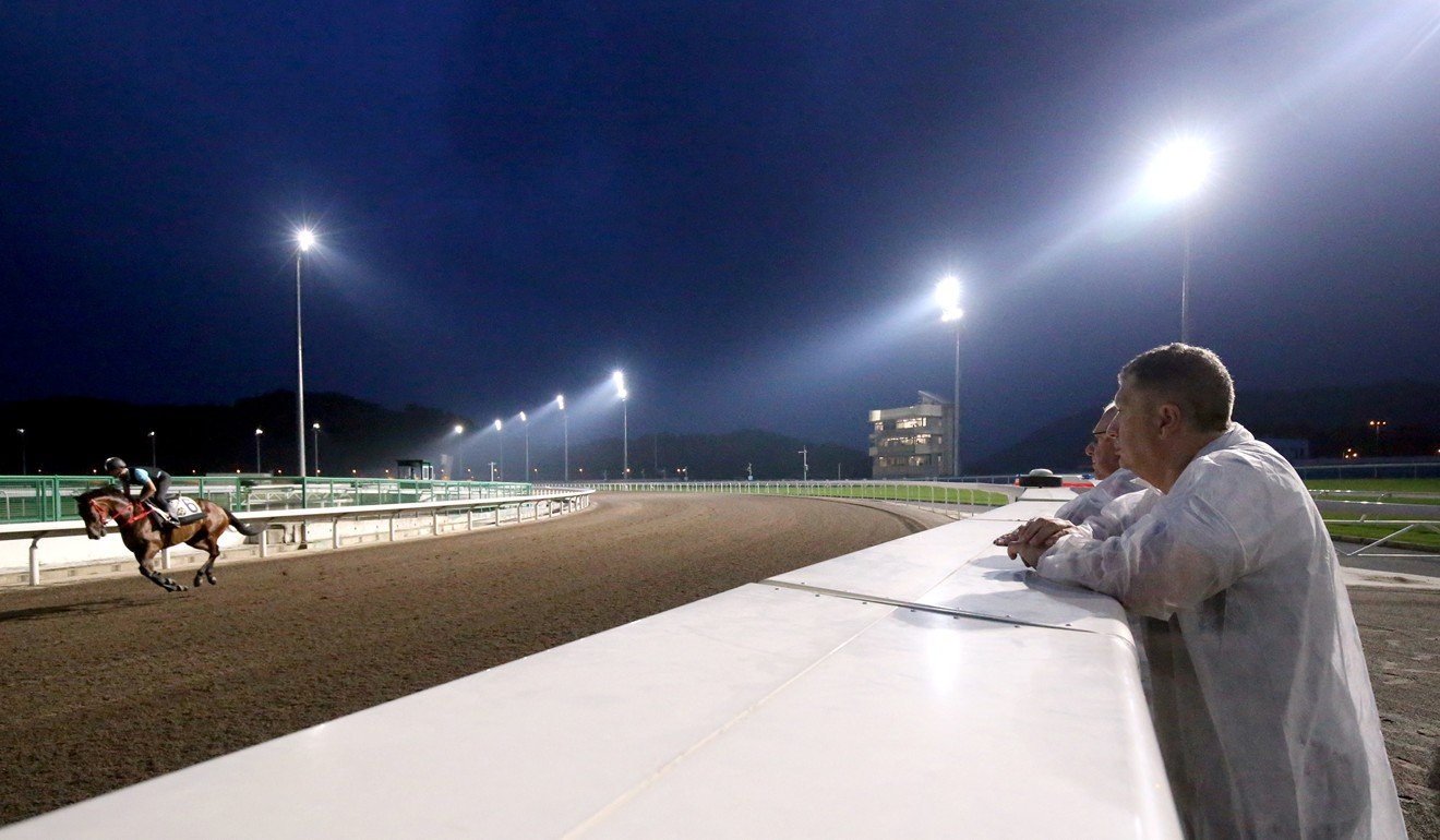 Horses at The Hong Kong Jockey Club Conghua Racecourse. Photo: Kenneth Chan