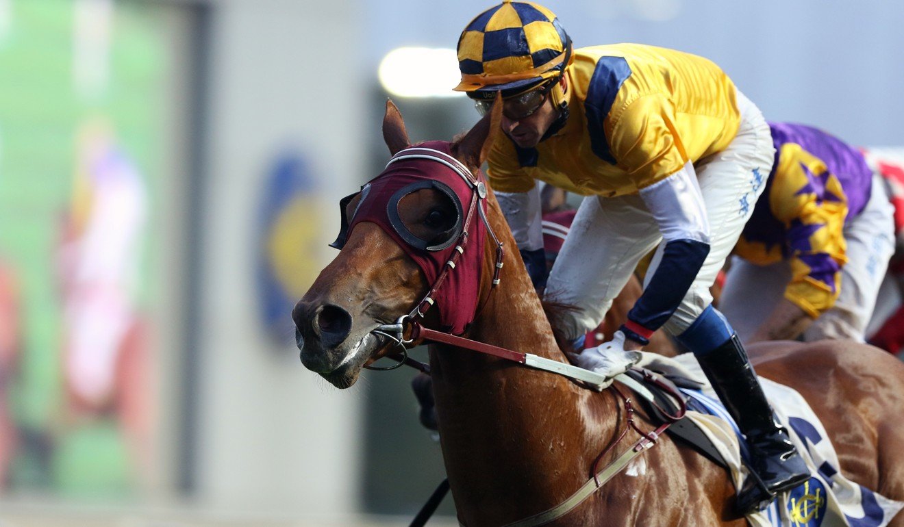 Styling City wins under Douglas Whyte at Sha Tin last season.