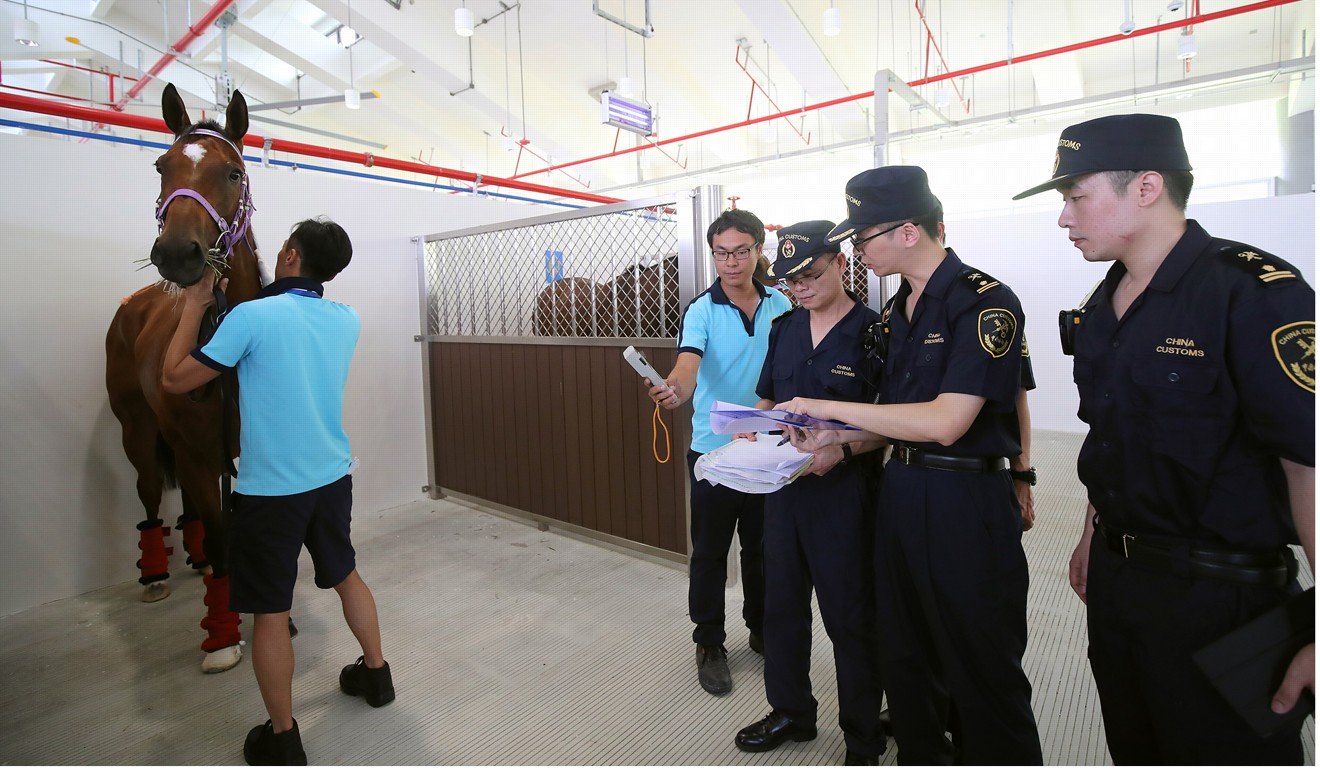 Horses inspected by biosecurity staff at Conghua. Photo: HKJC