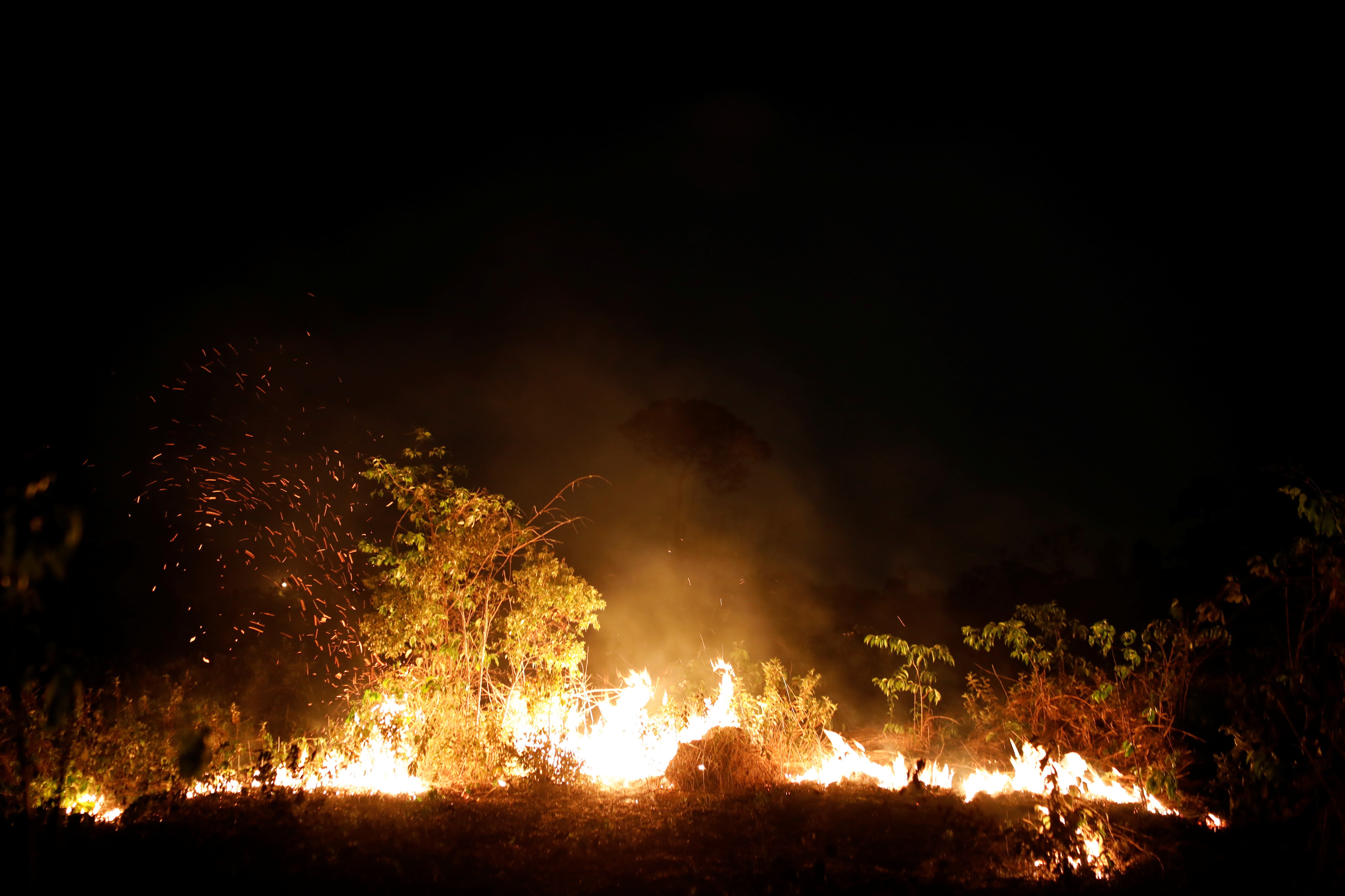 A fire blazes on a tract of Amazon jungle in Porto Velho, Rondonia state, Brazil. Photo: Reuters