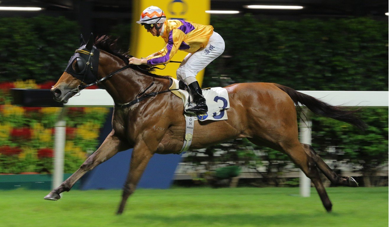 Saul’s Special wins at Happy Valley last season.