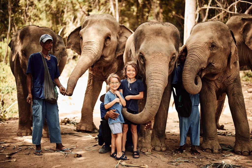 Elephants at ethical elephant sanctuaries will spend time with you because they want to, not because they are forced to do so. Photo: Aquabumps/Samui Elephant Sanctuary